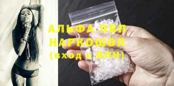PSILOCYBIN Алзамай