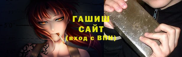 PSILOCYBIN Алзамай