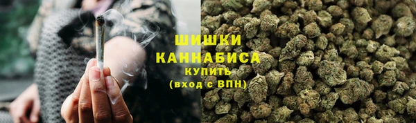 PSILOCYBIN Алзамай