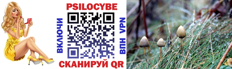 Купить  Балабаново  Псилоцибиновые грибы мицелий 