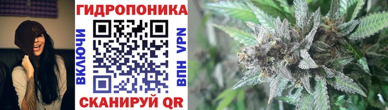 Купить где  Балабаново  Конопля гибрид 